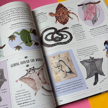 Load image into Gallery viewer, Wild : A Child's Guide to the Animal Kingdom