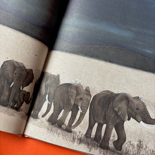 Load image into Gallery viewer, The Elephant