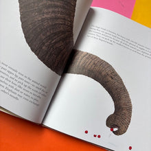 Load image into Gallery viewer, The Elephant