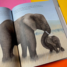 Load image into Gallery viewer, The Elephant