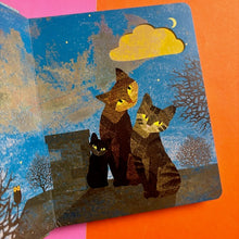 Load image into Gallery viewer, Under The Same Sky