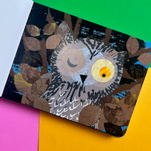Load image into Gallery viewer, Wow! Said The Owl: A First Book Of Colours