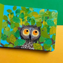 Load image into Gallery viewer, Wow! Said The Owl: A First Book Of Colours