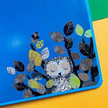 Load image into Gallery viewer, Wow! Said The Owl: A First Book Of Colours