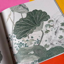 Load image into Gallery viewer, The Water Flower : The Journey of a Lotus Seed