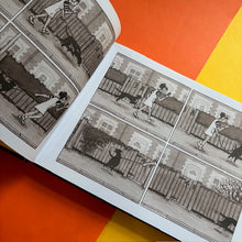 Load image into Gallery viewer, Wildful