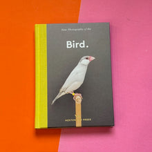 Load image into Gallery viewer, Bird