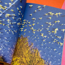 Load image into Gallery viewer, Bird