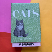 Load image into Gallery viewer, Cats: 50 Postcards