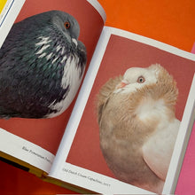 Load image into Gallery viewer, Bird