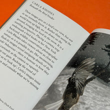 Load image into Gallery viewer, Bird