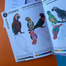 Load image into Gallery viewer, MAJO IDEAS : Vol 1 - COLOR