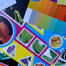 Load image into Gallery viewer, MAJO IDEAS : Vol 1 - COLOR