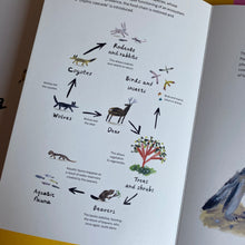 Load image into Gallery viewer, The Art Of Rewilding - the return of Yellowstones wolves