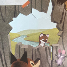 Load image into Gallery viewer, Everybody's Equal