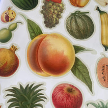 Load image into Gallery viewer, Cut Up This Book