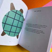 Load image into Gallery viewer, Mini Stories