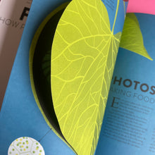 Load image into Gallery viewer, Plant Life