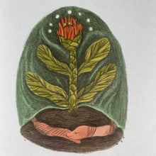 Load image into Gallery viewer, The Little Gardener