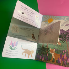 Load image into Gallery viewer, Rain & Shine