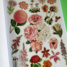 Load image into Gallery viewer, Cut Up This Book