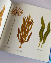 Load image into Gallery viewer, Fox And The Deep Sea Quest