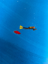 Load image into Gallery viewer, Fox And The Deep Sea Quest