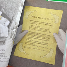 Load image into Gallery viewer, Lizzy And The Cloud