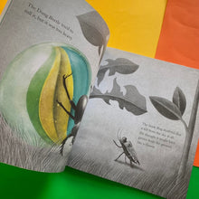 Load image into Gallery viewer, It Fell From The Sky