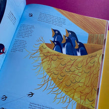 Load image into Gallery viewer, 1001 Birds