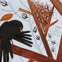 Load image into Gallery viewer, 1001 Birds