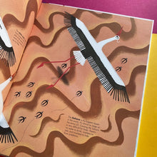 Load image into Gallery viewer, 1001 Birds