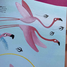 Load image into Gallery viewer, 1001 Birds