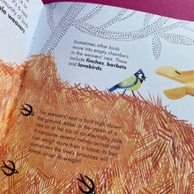 Load image into Gallery viewer, 1001 Birds