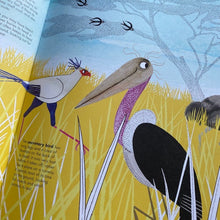 Load image into Gallery viewer, 1001 Birds