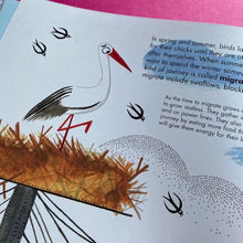 Load image into Gallery viewer, 1001 Birds