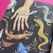 Load image into Gallery viewer, Joan Procter, Dragon Doctor