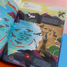 Load image into Gallery viewer, Scientists In The Wild : Galapagos