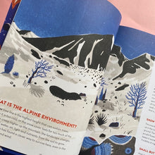 Load image into Gallery viewer, Everest