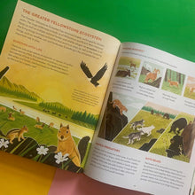 Load image into Gallery viewer, Earth's Incredible Places - Yellowstone