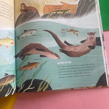 Load image into Gallery viewer, Earth's Incredible Places - Yellowstone