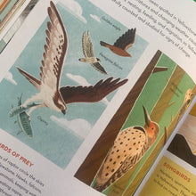 Load image into Gallery viewer, Earth's Incredible Places - Yellowstone