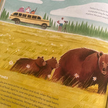 Load image into Gallery viewer, Earth's Incredible Places - Yellowstone