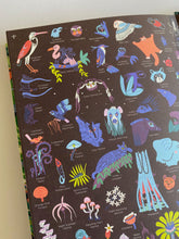 Load image into Gallery viewer, Day & Night: Rainforest