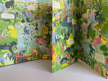 Load image into Gallery viewer, Day & Night: Rainforest