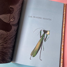 Load image into Gallery viewer, No One Is Angry Today