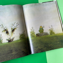 Load image into Gallery viewer, Why?