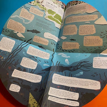 Load image into Gallery viewer, Around Antarctica