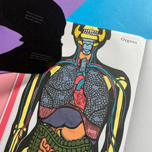 Load image into Gallery viewer, Inside The Body