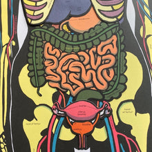 Load image into Gallery viewer, Inside The Body